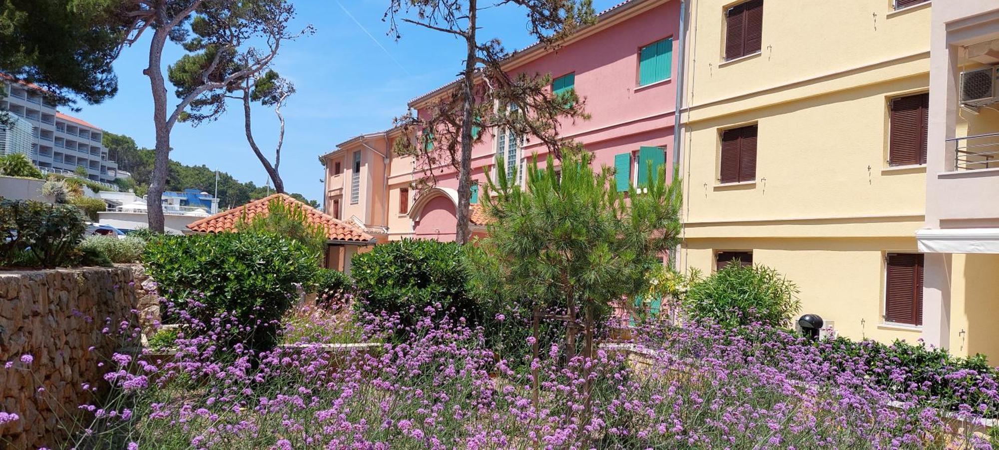 Apartment Bellavista Punta