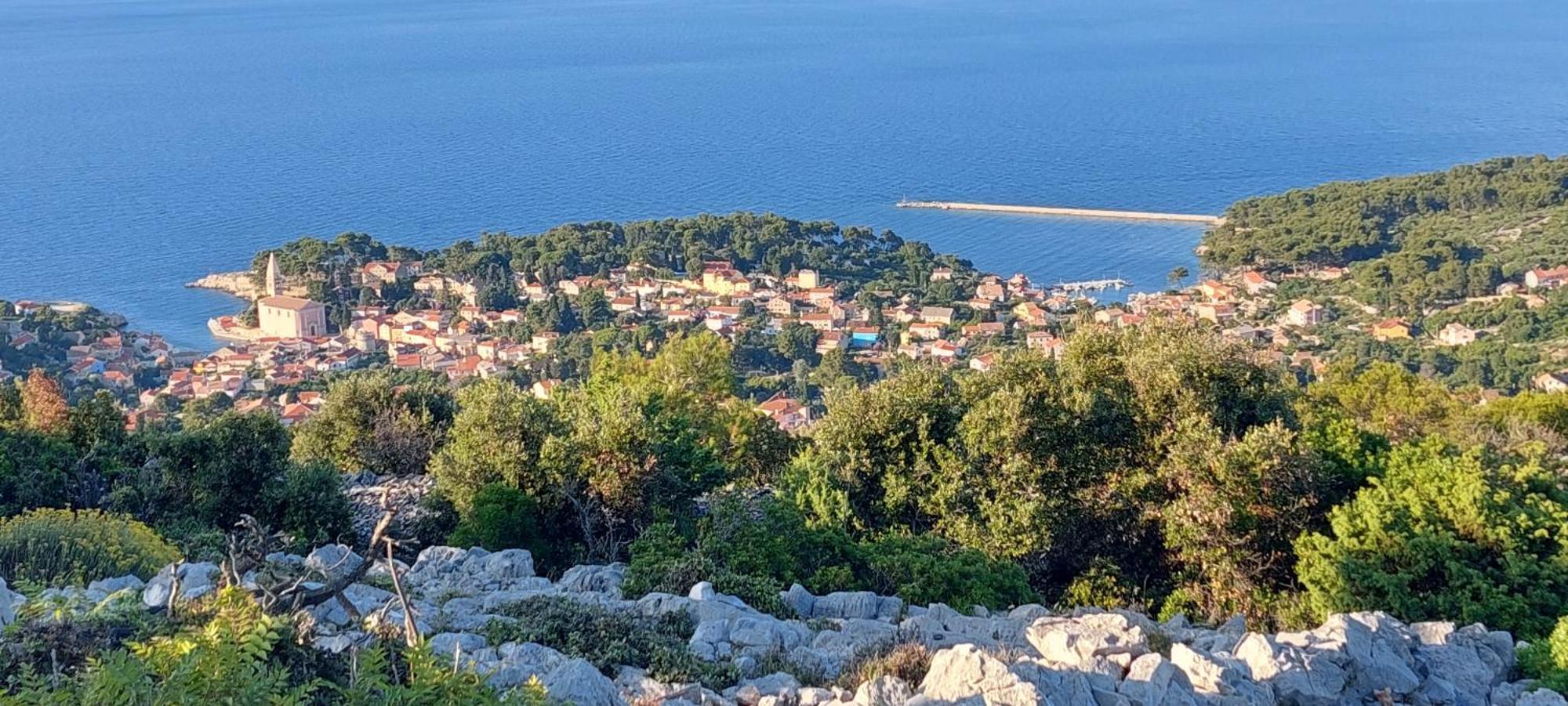 Bellavista Punta *